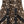 Load image into Gallery viewer, Vintage Vine Midnight Mini Backpack