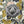 Load image into Gallery viewer, Delicate Floral Charcoal RFID Cash System Wallet
